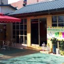 개구리네 이미지