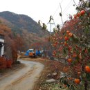 도화동천펜션 이미지