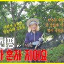 율원3천 Daum카페
