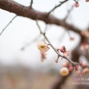 서일농장2 이미지