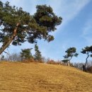 유복립 정려각 Daum카페