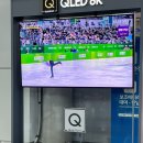 2024 강원 청소년 동계올림픽 피겨 여자 쇼트 직관후기⛸️(신지아, 김유성) 강릉아이스아레나