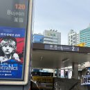 24시 온동물의료센터 | 부산 24시 온동물의료센터 고양이 요도 폐색