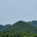 악양면사무소 이미지