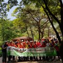 사)경기도시각장애인연합회 용인시지회 이미지