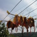 일도네민박 이미지