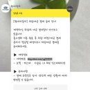신창 현대 자동차서비스 | 캐스퍼(톰보이카키) 출고후기