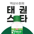 태권스타 이미지