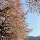 GS25주례파크점 이미지