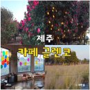 카페글렌코 | 제주도 카페 추천 글렌코 동쪽 구좌읍 동백꽃 명소