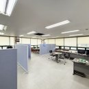 벤처벨리네거리 이미지