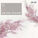 꿈나무(소공원) | 5월 일상, 아이폰 일상털기