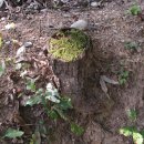 태양이용원 이미지