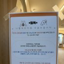 동탄 애견카페 너를위한카페 가격 및 후기, 애견호텔 유치원까지