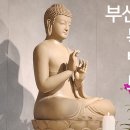 🪷부산 목탁소리 토요법회 동영상 이미지