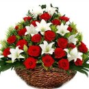 안심산길 이미지