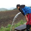 성욱농장 이미지