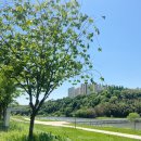 이뻐지는산책 이미지