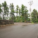 토산중앙교차로 2 이미지