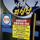 서해조선 | 평택항 서해피싱호 쭈꾸미, 갑오징어 출조 후기