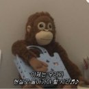 (주)남청주양지주유소 | 9월 두번째
