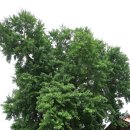 능주 향교 이미지