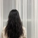 띠용헤어