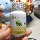 내추럴펫 이미지