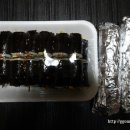 얌얌김밥 이미지