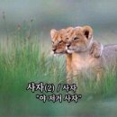 금융감독원 | 금융감독원 무료 금융자문서비스 후기