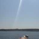 에이메드 | 이집트 신혼여행 6일차 / 아스완 / 아흐메드킴 나일강 크루즈 / 필레신전 / 펠루카