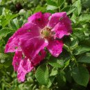 한밭수목원 서원 이미지