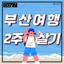 집(The hous | [부산/2주 살기] DAY 7 - 부산 서면 우체국, 하나로마트 부전점, 부산 현대 미술관, 블랙업커피 을숙도