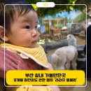 새들의 정원 | [부산 명지] 9개월 아기 하진이와 첫 동물원 나들이! 라라쥬 동물원 방문 후기 (부산 실내 가볼만한곳)