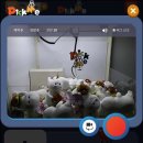 픽미뽑기 이미지