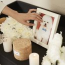 드림24동물병원 이미지