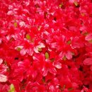 곤양축구장 이미지