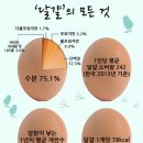 탁식 이미지