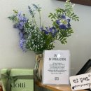 못티 네이버블로그