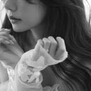 리얼포토그라피