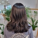 널그린헤어 이미지