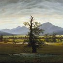 나무한그루 이미지