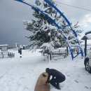 원정들3 이미지