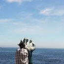 호미곶온천랜드 이미지