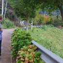 봉성저수지 둘레길 이미지