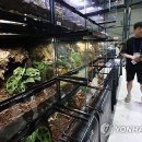 반려식물키우기 이미지