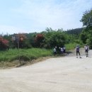 이일 장군 묘소 이미지