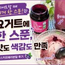 베리홀릭 | 에코홀릭 하스카프베리분말 후기 유기농 하스카프베리분말 먹어본 리뷰