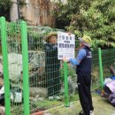 사능4리 이미지