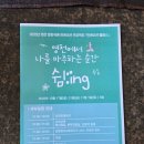 행복도시 영천(벽화 | 2025 영천 문화귀촌 런케이션 프로젝트 &#39;영천에서 나를 마주하는 순간 쉼:ing&#39;클래스 참여후기...